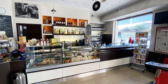 Bar Gastronomia in vendita zona Colli Albani (cod 113)